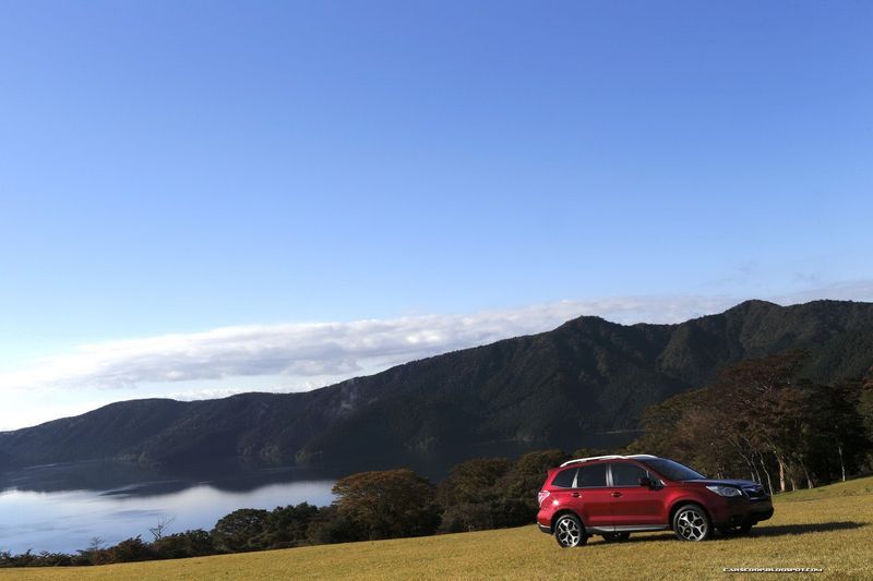 Новый Subaru Forester научился ездить по бездорожью (180 фото)