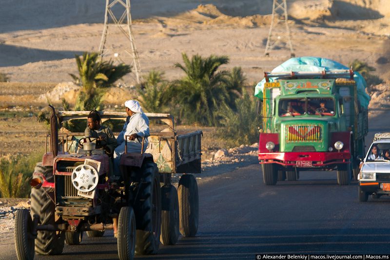 По дорогам Египта (35 фото)