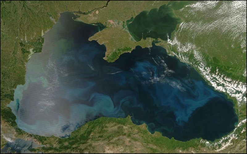 Фитопланктон в Черном море. Снимок сделан в естественных цветах.