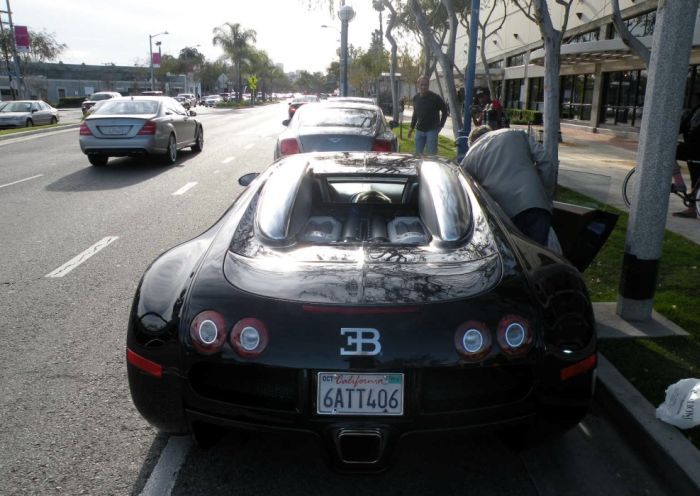 Необычный пассажир в Bugatti Veyron 16.4 (10 фото)
