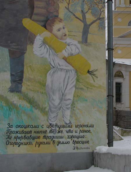 Рисунки на домах города Боровска (Калужская область) (30 фото)