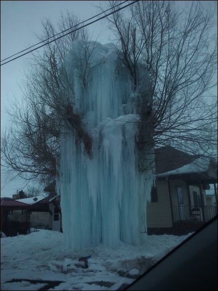 Ледяное дерево (2 фото)