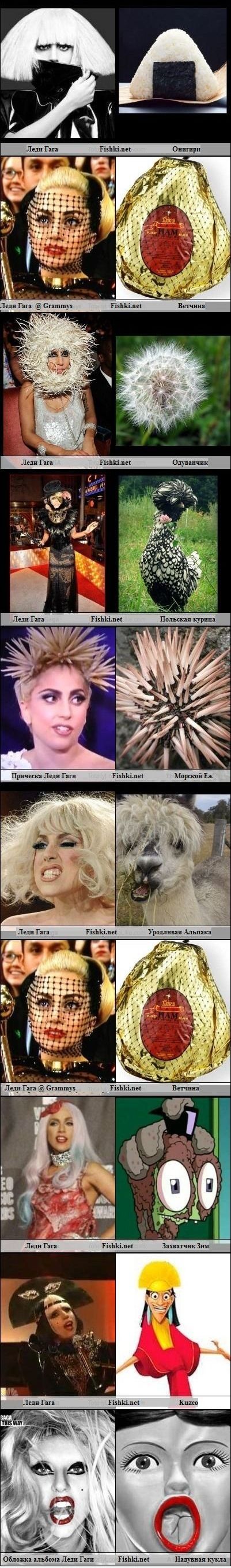 Забавные сходства с Леди Гага (2 фото)