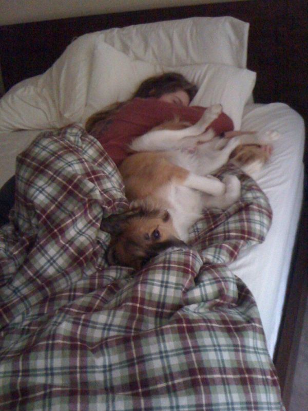 Чем занимается твой пес, когда ты спишь? (5 фото)
