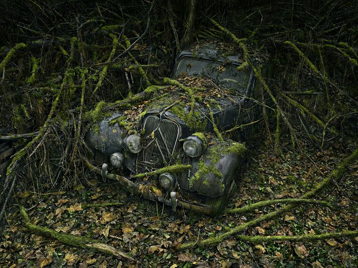 Старые автомобили наедине с природой (11 фото)