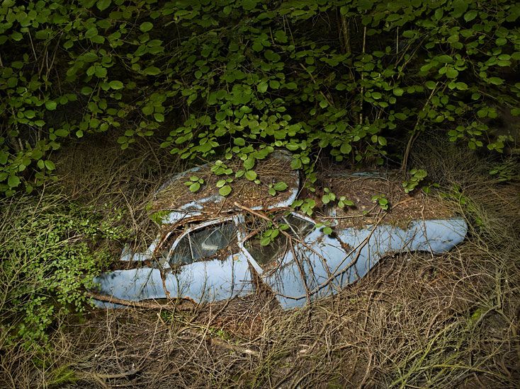 Старые автомобили наедине с природой (11 фото)