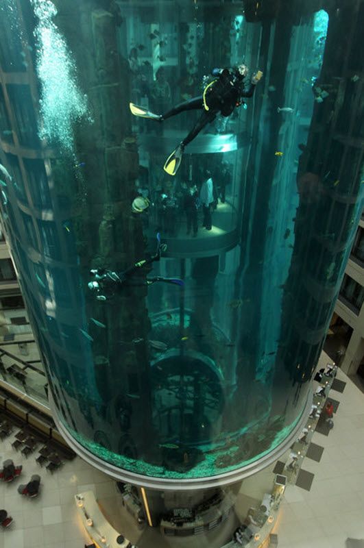 Дизайн аквариума взяла на себя компания «International Concept Management, Inc.». Цилиндр из акрилового стекла был построен компанией «Reynolds Polymer Technology».