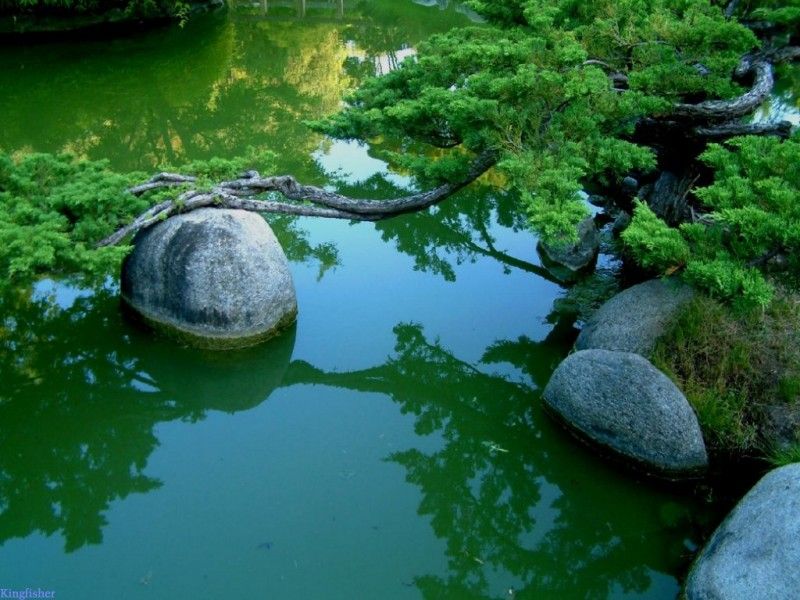Удивительный японский сад с декоративными горками (13 фото)