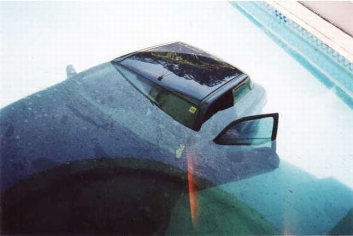 Искупали машину в бассейне (8 фото)