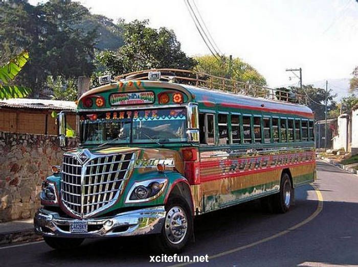 авто, автобус, автобусы, чикенбас, латинская америка