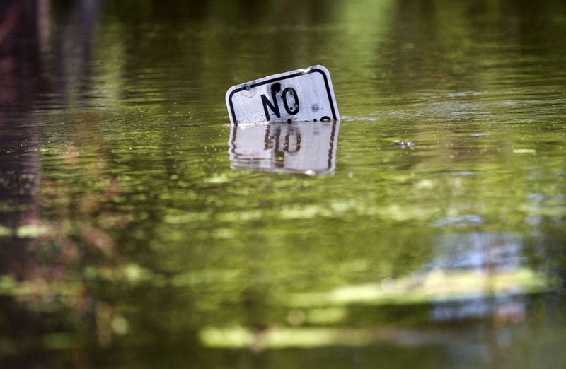  Дорожный знак в воде в Симмеспорте, Луизиана. (Mario Tama/Getty Images)