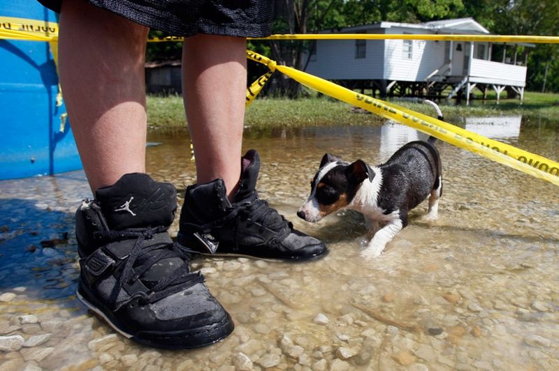 Тайлер Кларк с псом Бастером рядом с оградительной лентой, блокирующей доступ к затопленному району, в Симмеспорте. (AP Photo/Patrick Semansky)