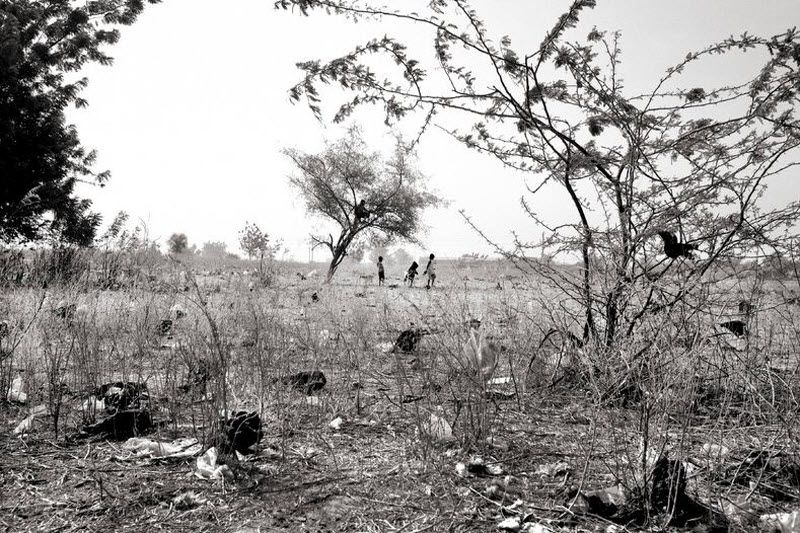  1 января 2011 года. – Провинция Куритенга, Буркина-Фасо – Дети пасут стадо коз в провинции Куритенга. В 2007 году от 62000 до 130000 детей в возрасте до 18 лет потеряли обоих родителей в результате вируса. Лишь немногие из них были взяты на воспитание другими членами семьи или попали в детские дома.