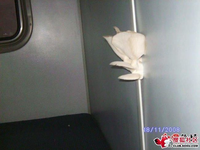 Поезд из Китая (5 фото)