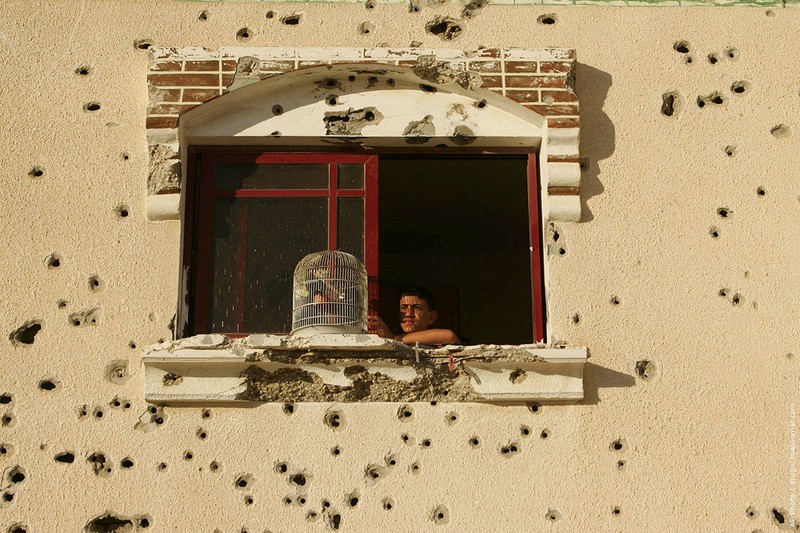 19.06.2009, сектор Газа | Птичка в клетке. В палестинском Рафахе – городе на границе с Египтом.