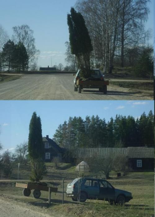 Дураки и дороги есть не только в России. Часть 2 (48 фото)