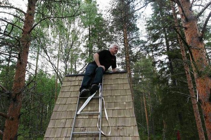 В Швеции открылся отель на дереве (14 фото)