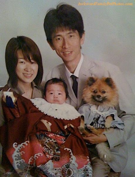 Забавные семейные фотографии с животными (30 фото)