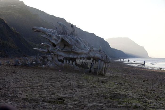 голова дракона, кости, пляж, песок, британия