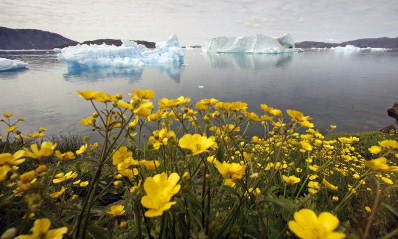 Гренландия (33 фото)