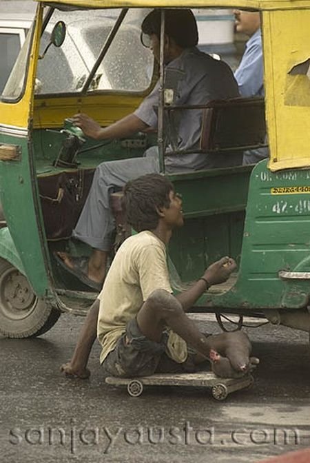 Индийские попрошайки-калеки (17 фото)