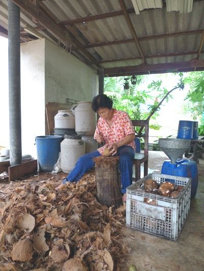 В качестве топлива для разогрева печи используется сухая кокосовая скорлупа, волокна и пальмовые листья. 