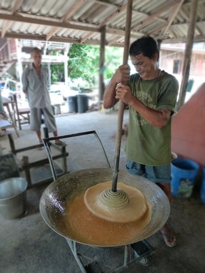 Производство сахара в Таиланде (11 фото)