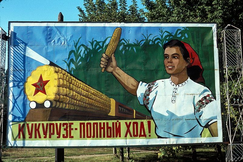 Про кукурузу, конечно, тоже не забывали. Этот замечательный плакат Дюпакье сфотографировал где-то на Кубани.