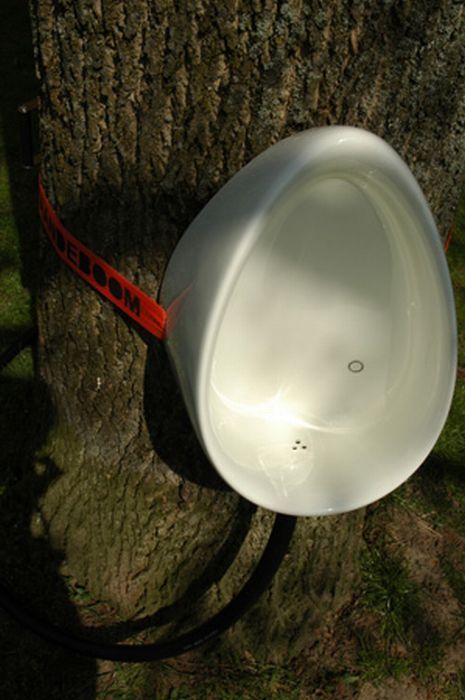 Туалеты на деревьях (8 фото)