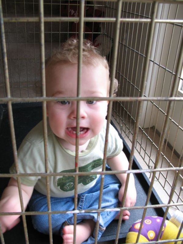 Забавные фотографии детей в клетках (30 фото)