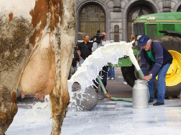 Молочная забастовка в Бельгии (6 фото) 