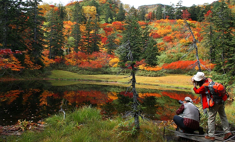 Альпинисты фотографируют осенние листья, отраженные в озере Такими на японском острове Хоккайдо. 