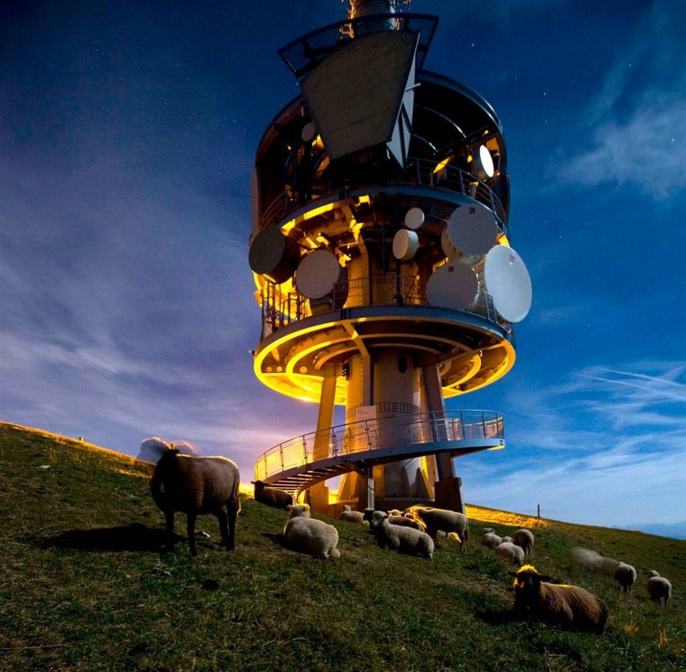 Овцы собрались вокруг телекоммуникационной башни на горе. Рига в центральной Швейцарии.