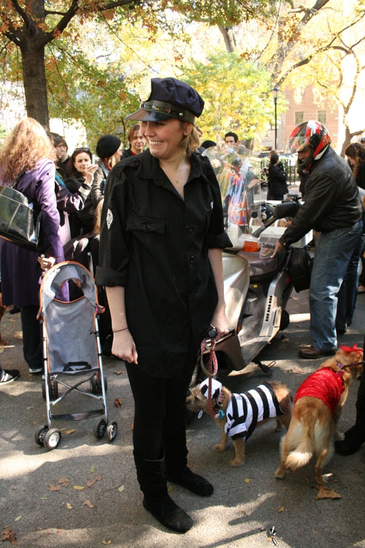 Собачий парад на Хеллоуин 2009 (43 фото)