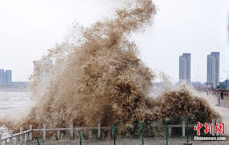 Морской китайский прилив (12 фото)