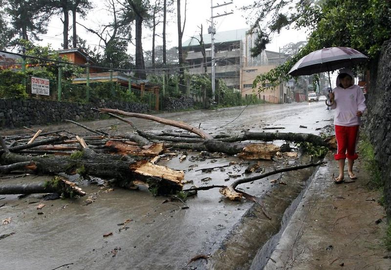 Женщина идет по дороге в Маниле, заваленной ломанными деревьями. К приходу тайфуна в столице готовились заранее - в 12-миллионном городе демонтировали рекламные щиты и растяжки.