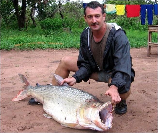 Рыба-монстр в реке Конго (6 фото)
