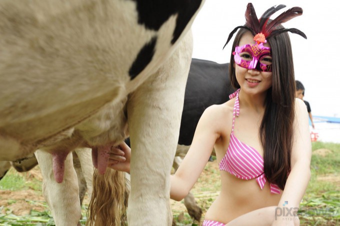 Необычный конкурс – Мисс дойная корова (9 фото)