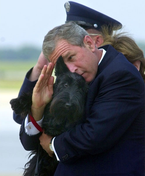 Прощание с Бушем (22 фото)