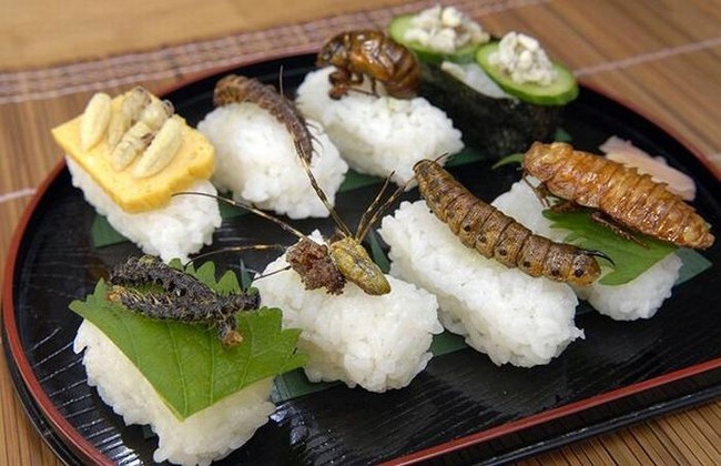 Суши с насекомыми (15 фото)