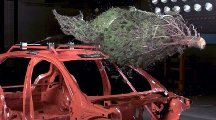 Правила перевозки новогодней елки от агентства ADAC (видео+текст)