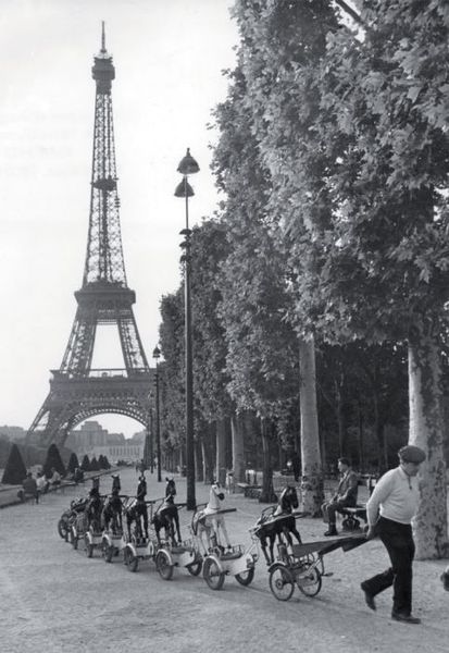 Париж середины XX века (41 фото)