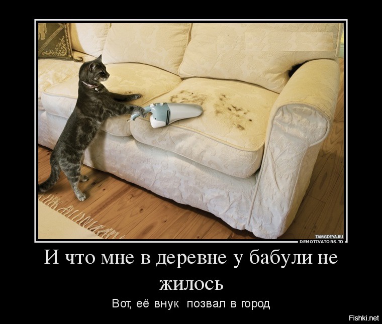 Посмеялся сам - поделись с другом!!!