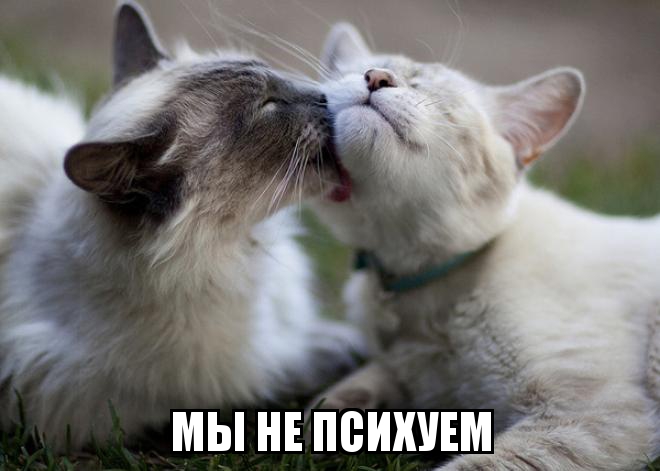 Посмеялся сам - поделись с другом!!!