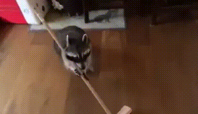 Прикольные гифки