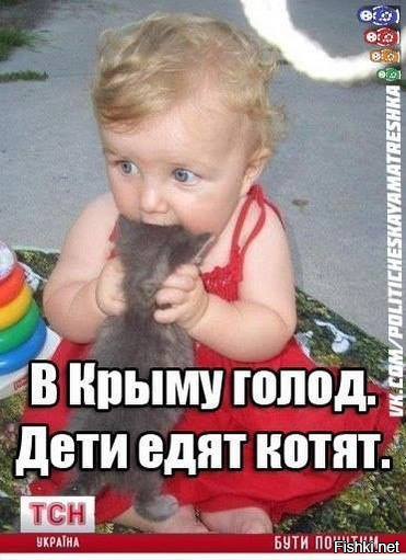 1dc2afb05ed80c52437f7d89a544ca7b.jpg