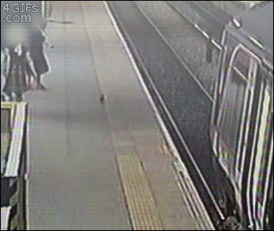 1ba29937e3b6f3918b86dbf9eefc15db.gif
