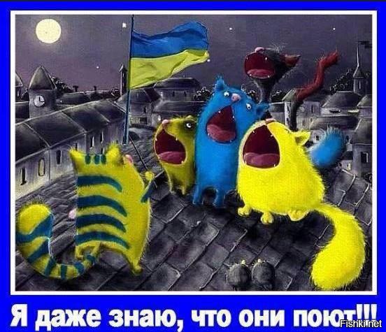 0edd22eeb404d5d2d2e1e523e2de5abb.jpg
