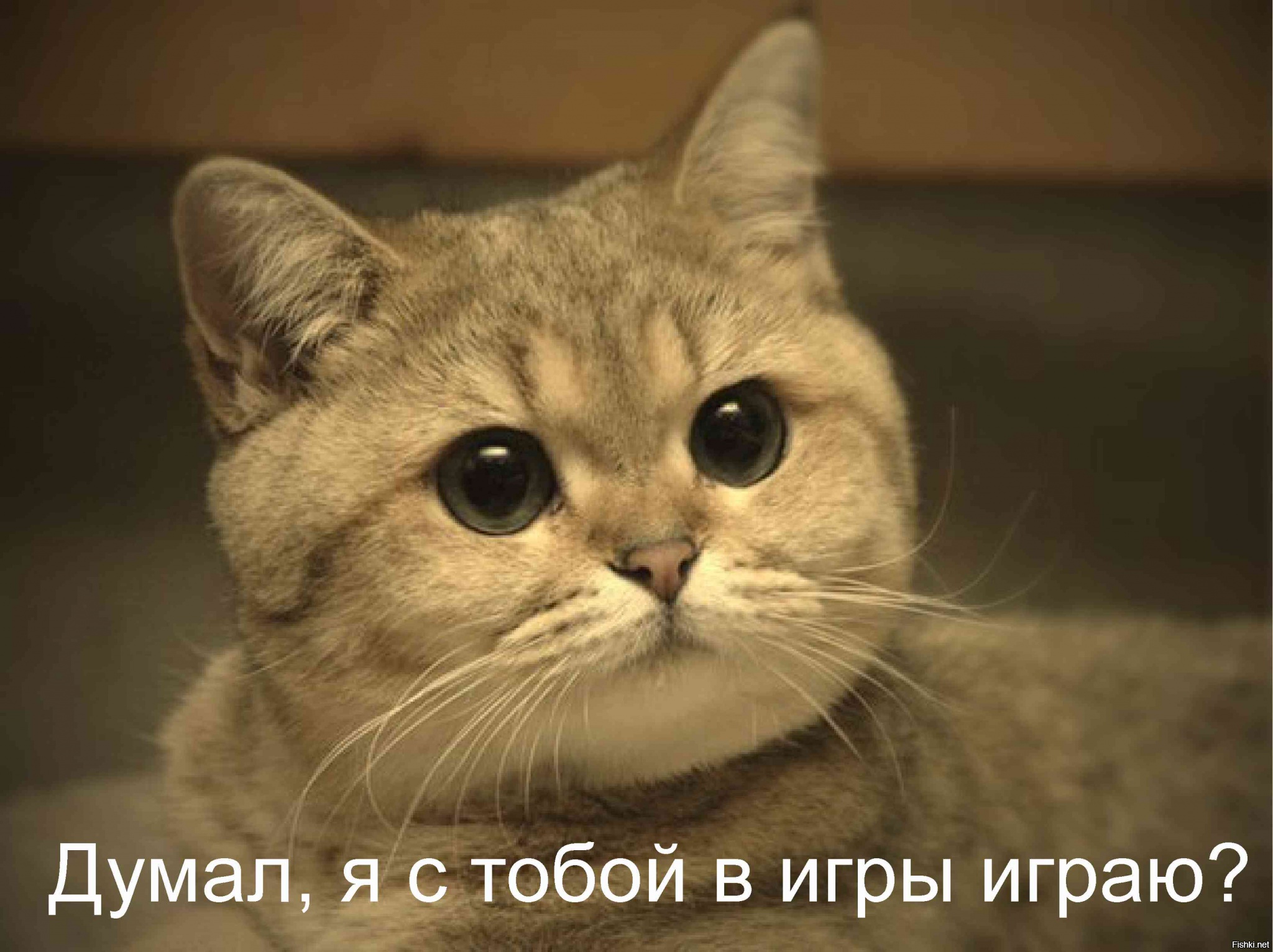 киску спермой Заполнил киску