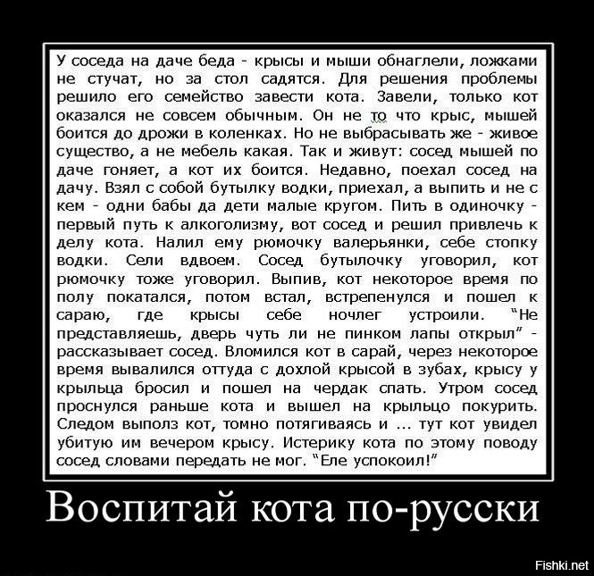 6bc9a6f09b3b378dc6422f37e915f386.jpg